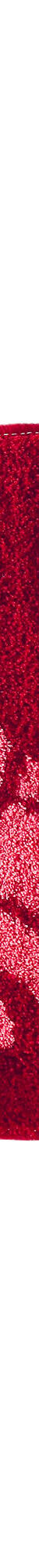 Tapis de bain motif jungle (prune) Tapis de bain motif jungle (prune)